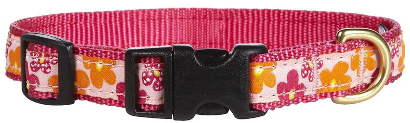 Up Country Flower Power Collar - Medium - PawsPlanet Australia