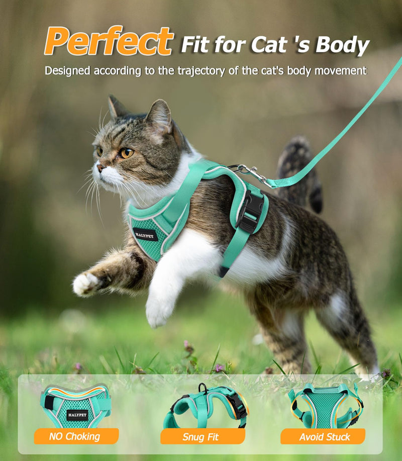 Halypet Cat Harness and Leash Set [MAX Safety 4th-Gen Upgrade] Escape Proof Adjustable Cat Leash Comfortable Soft Vest Easy to Wear Kitten Harness with Reflective Strip for Cats Walking, S Green H600 Pro Green Small (7-12lb) - PawsPlanet Australia