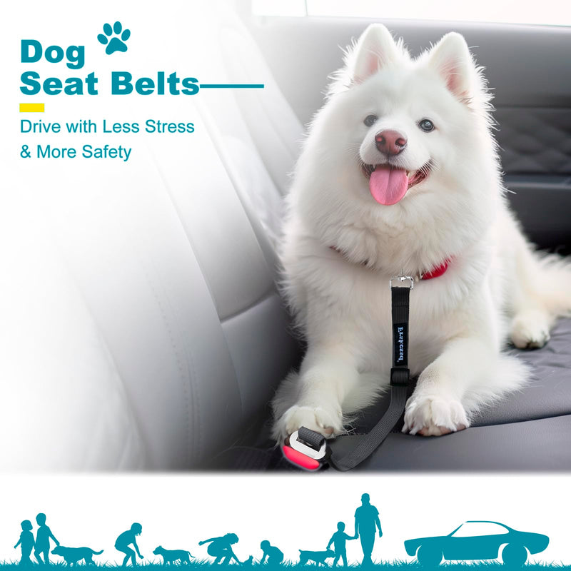 2 PCS Dog Seat Belt for Car Frskcssd Adjustable Dog Car Harness Heavy Duty Nylon Dog Safety Seat Belt Durable Pet Seat Belts for Small & Large Dogs Supports All Cars Quick & Easy Installation (Black) Black - PawsPlanet Australia