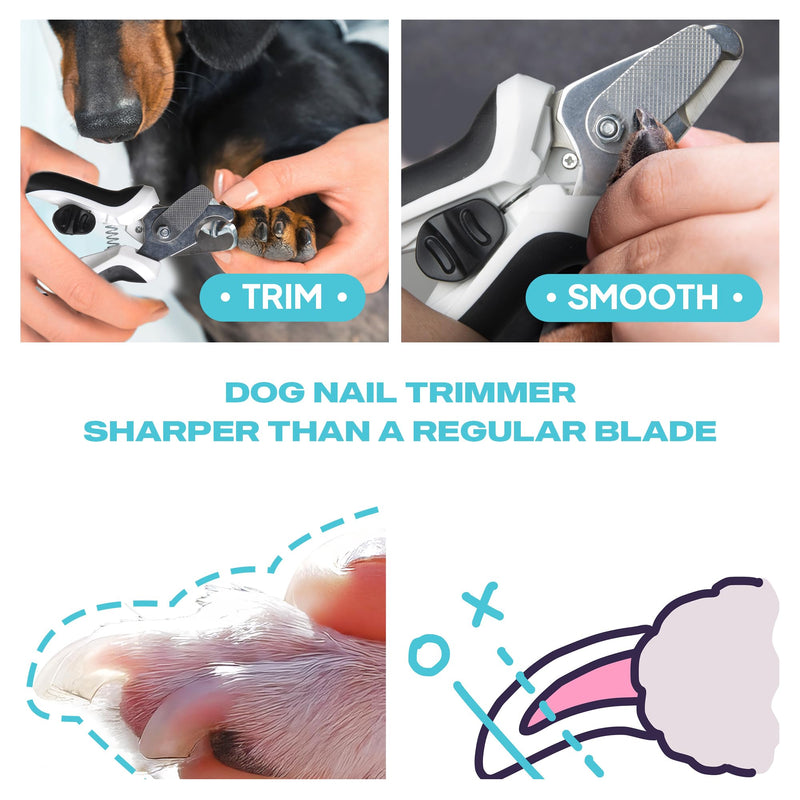 TwoEar Dog Nail Clippers with Light, Dog Nail Trimmers with Quick Sensor & Safety Guard, Razor Sharp Blade, LED Pet Nail Clippers/Dog Toenail Clippers for Medium Large Dogs, Black - PawsPlanet Australia