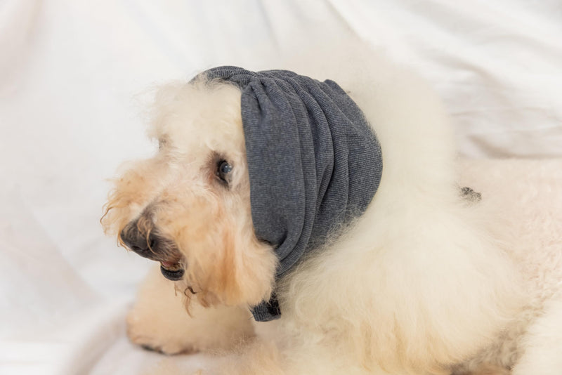 Dog Blow Dryer Ear Cover,Dog No Flap Ear Wrap Anxiety & Stress Relief - Dog Ear Flap Wrap for Surgery Recovery Grey M Medium - PawsPlanet Australia