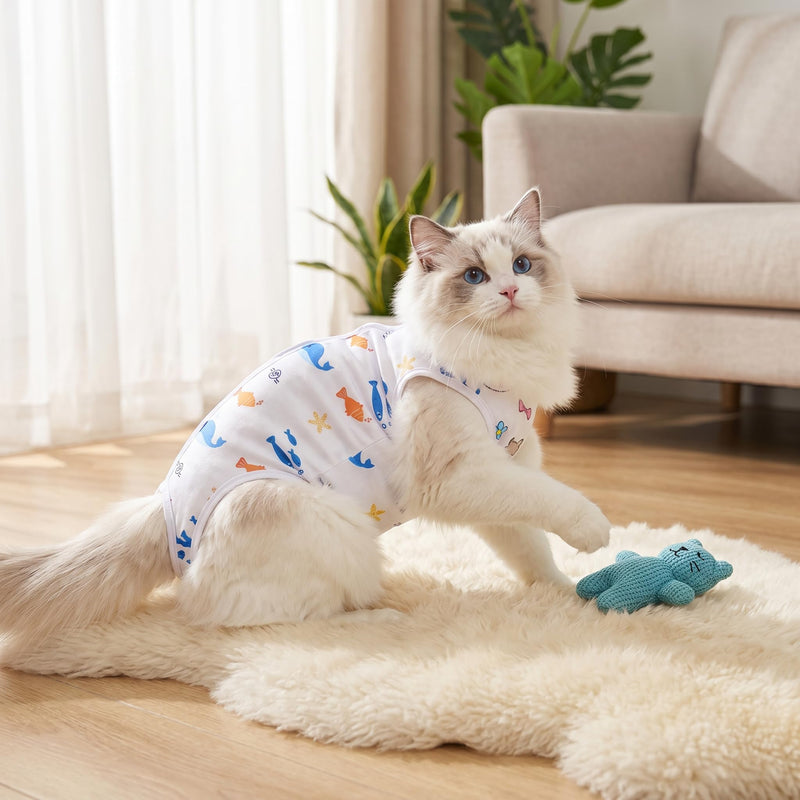 2 Pack Cat Recovery Suit,Breathable Cat Onesie Soft Kitten Onesie Cat Bodysuit Surgical Spay Suit,Anti-licking Cats Vest for Skin Diseases Elizabethan Collar Alternative (C) C