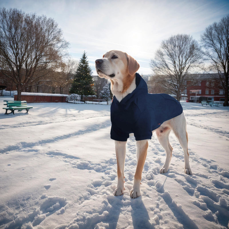 Basic Dog Hoodie, Soft Pet Hoodie Sweater with Leash Hole and Pocket, Cotton Puppy Sweatshirt Fashion Outfit for Small Medium Large Dogs- Navy Blue (Medium) - PawsPlanet Australia