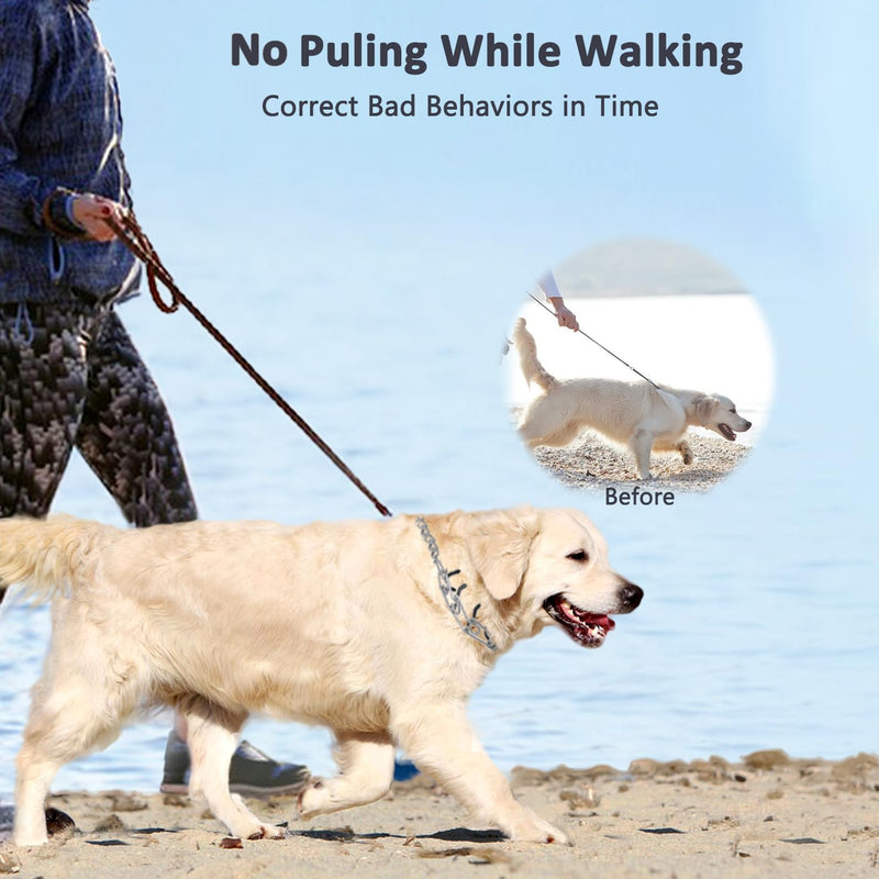 Dog Collar with Buckle Adjustable Dogs Collars for Small Medium Large Dogs (XL:4.0mm(Neck 22-26")) XL:4.0mm(Neck 22-26") - PawsPlanet Australia