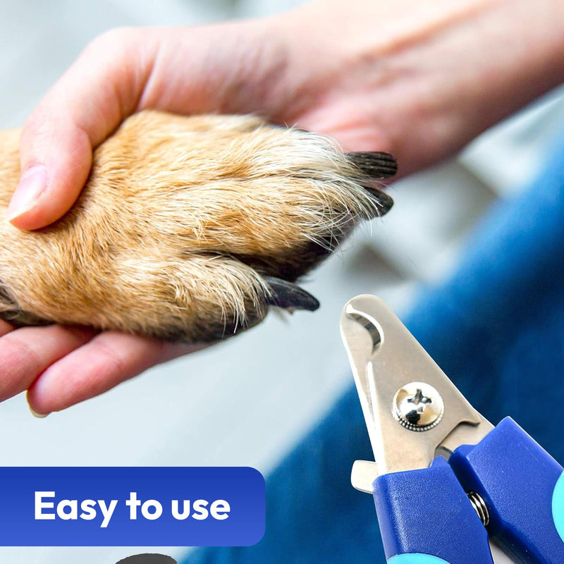 BPG Pet Grooming Tools for Dogs & Cats- 3 Piece Dog Grooming Kit, Pet Nail Care Kit, Nail Grinder, Clippers and File- Precision Trimming Perfect at Home Grooming Set Nail Grinder/ Nail Clipper/ Nail File - PawsPlanet Australia