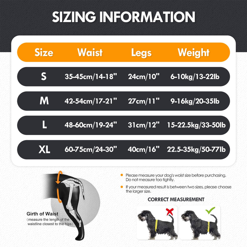 Adjustable Dog Lifting Harness for Back Legs | Support Sling & Hind Leg Brace for Injured, Disabled, Elderly Dogs | Small/Medium/Large Sizes with Lift Handle & Padded Straps (M) M
