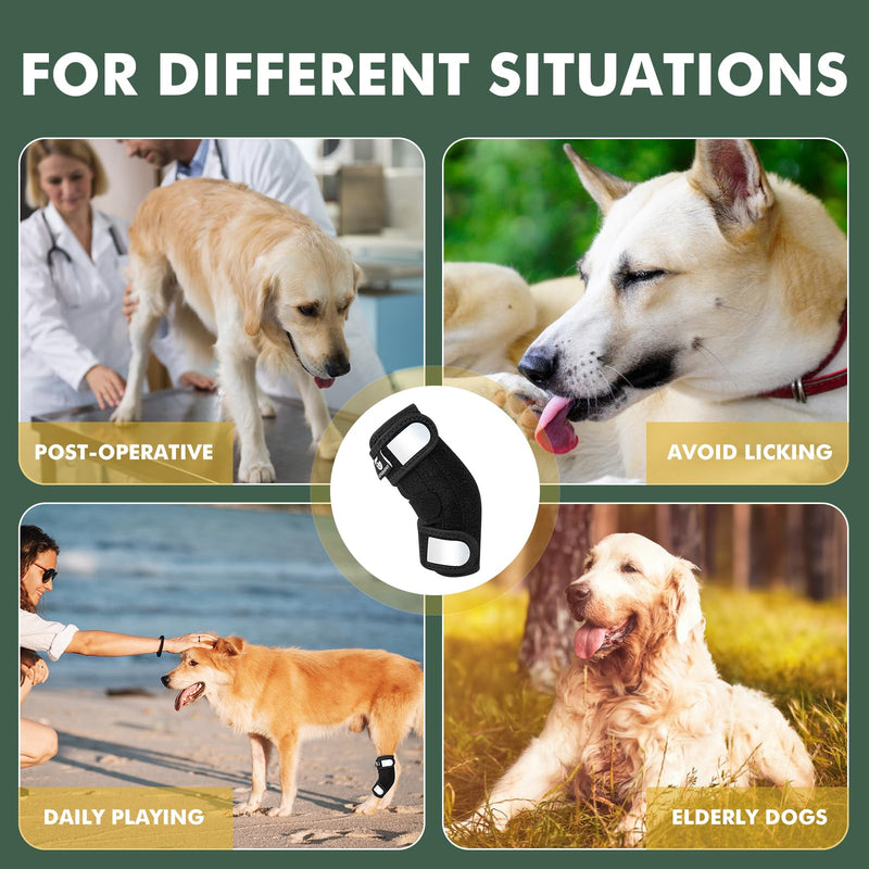 Dog Leg Braces for Back Leg for Torn ACL & CCL, Rear Leg Hock Ankle Brace with Metal Spring Inserts Reflective Straps, Dog Wrap Brace for Bottom Joint for Injury Sprain, Wound Care M - PawsPlanet Australia