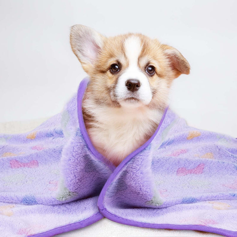 LeapSheep Pet Blankets for Dogs Cats - 3Pack Bone Pattern Super Soft Fluffy Dog Blankets for Small Medium Large Doggy Kitten (Bone, Large) Large 41''x31'' - PawsPlanet Australia