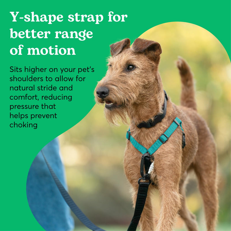 Better Walk No-Pull Dog Harness, Teal, 1” Medium – Stay in Control with Adjustable, Comfortable, Easy to Wear, & Durable Dog Harness – Ideal for Medium Dogs 35-65lb Aqua Teal - PawsPlanet Australia