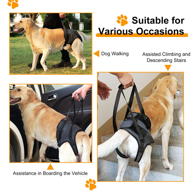 Dog Lifting Harness,Dog Support Harness Slings for Back Legs,Adjustable Assistance Support Strap for Injured,Disabled,Elderly Dogs (S) S Gray