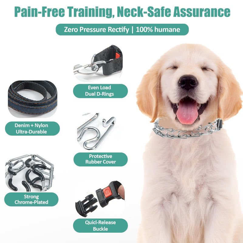 Training Collar for Small Dogs - 2.5mm Adjustable No-Pull Guidance Pet Stainless Steel Collar with Quick Release Buckle. Kit Includes 3.9ft Leash + Links + 8 Comfort Tips (Fits 11-15in Neck) - PawsPlanet Australia