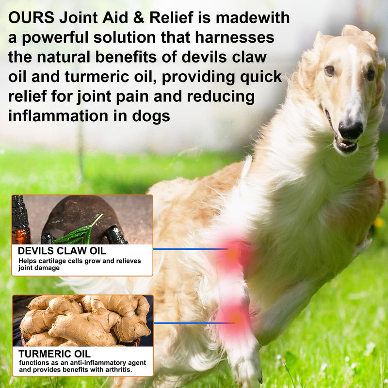 Joint Supplement for Dogs – Glucosamine Chondroitin with Turmeric & Devils Claw – Natural Relief for Senior, Active Adults & Puppy Hip & Joint Health – Support for Inflammation & Cartilage – 2 fl oz - PawsPlanet Australia