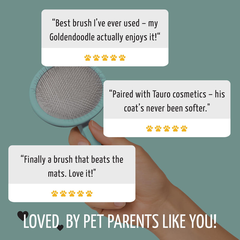 Tauro Pro Line Slicker Brush for Dogs & Cats, Deshedding, Dematting & Detangling Grooming Tool for Medium to Long Coats, Ideal for Cocker Spaniels, Round Flexible Cushion, Mint, Medium Size (M) Round - M