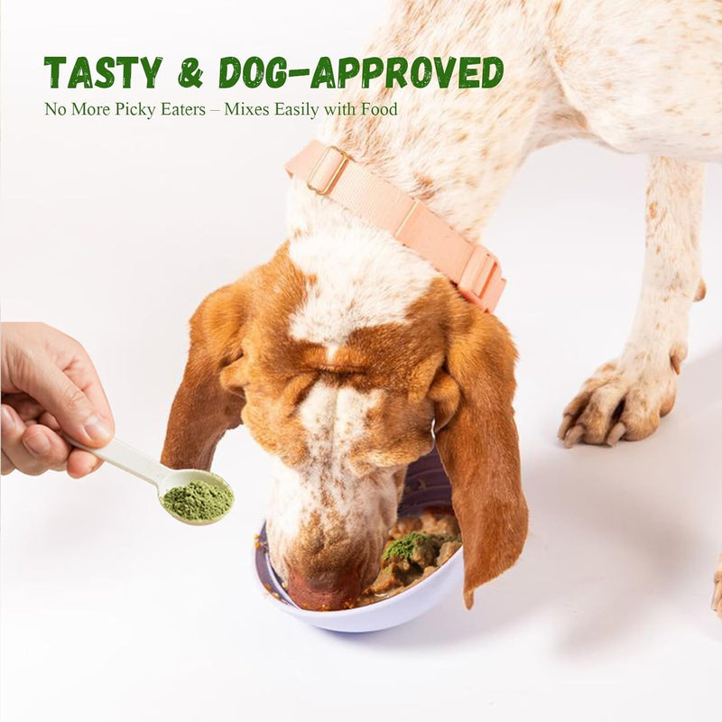 Dog Dental Powder, 200g Dental Powder for Dogs Teeth Cleaning and Breath Fresh, Dog Teeth Cleaning Powder with Natural Plants Ingredients and Postbiotics - PawsPlanet Australia