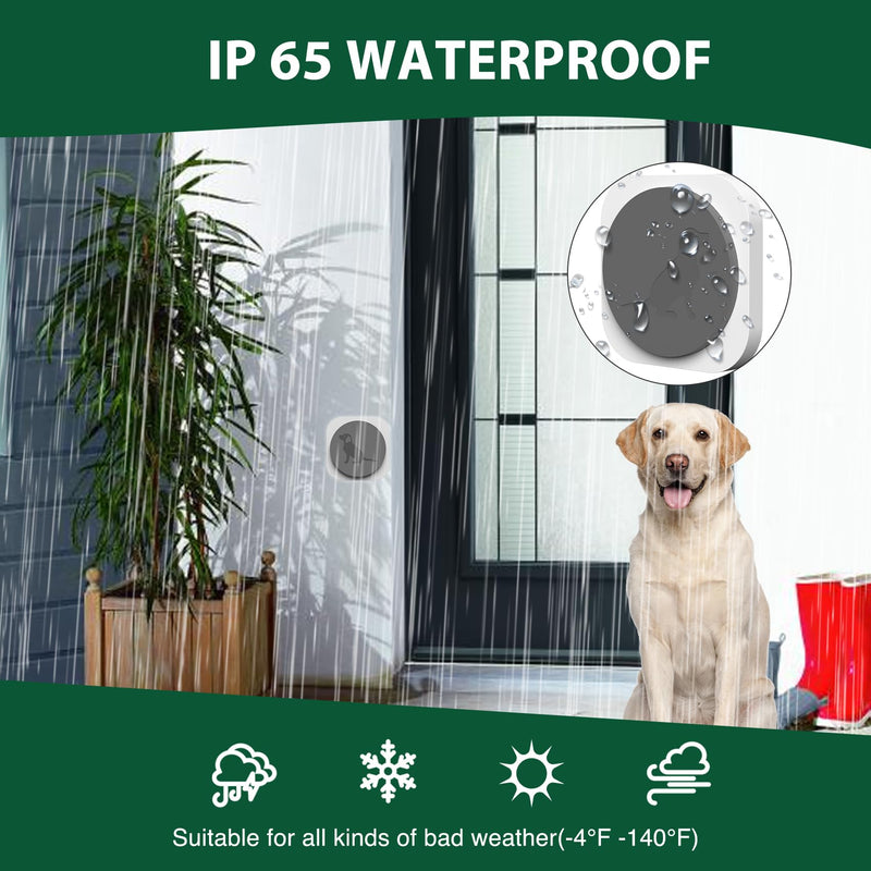 Dog Door Bell for Potty Training, Smart Wireless Doggie Doorbell to Go Outside, 1000 Feet Long Range with IP65 Waterproof Touch Button, 20 Melodies & Adjustable Volume (2 Button) - PawsPlanet Australia