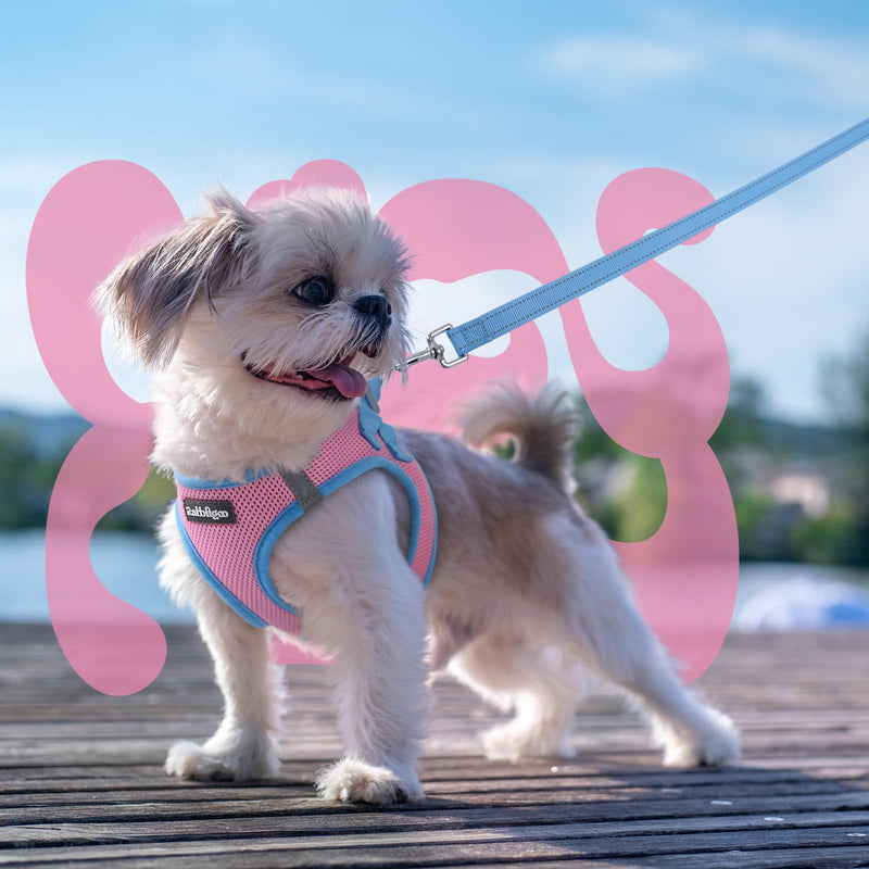 rabbitgoo Dog Harness Small Sized and Leash Set, Step-in Breathable Pet Harness, Soft Walking Reflective Puppy Vest for Small Dogs, Pink & Light Blue, S S (Chest: 15.1 - 16.5") - PawsPlanet Australia