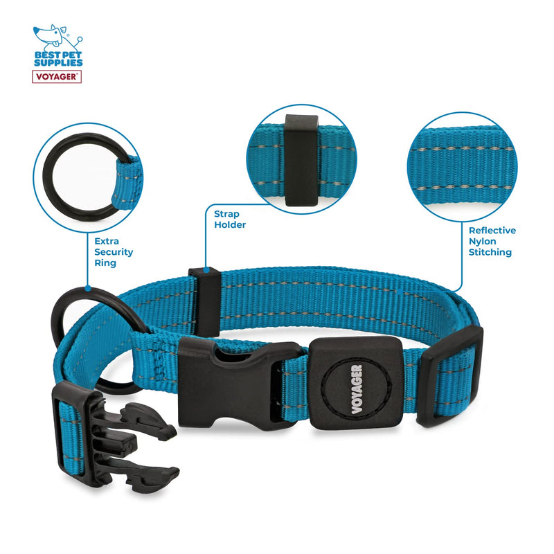 Best Pet Supplies Reflective Dog Collar with Adjustable Length, Heavy-Duty Buckle, and Strong Leash D-Ring, Training, Walking, Jogging Accessory for Small, Medium, and Large Breeds - Turquoise, L - PawsPlanet Australia