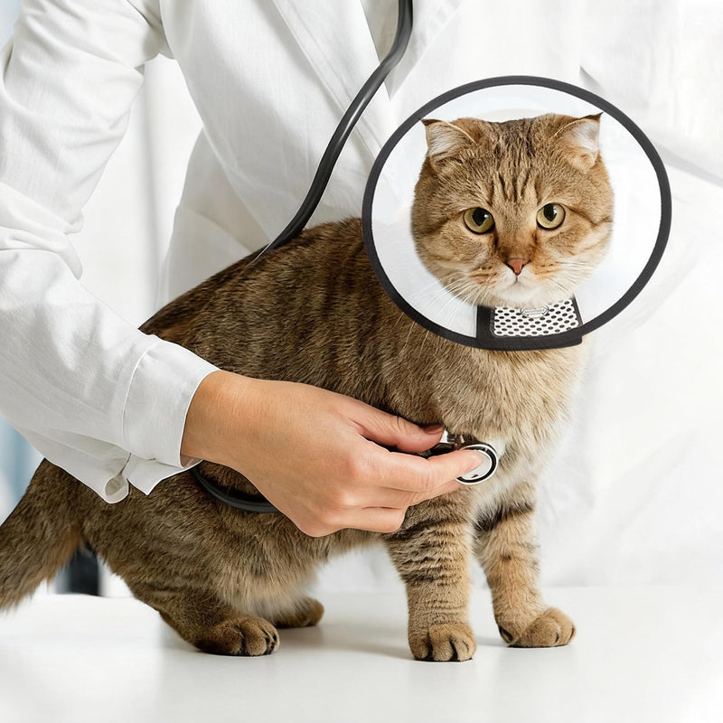 VOSSOT Pet Cone Recovery, Cat Collar, Anti-Leak, Lightweight Plastic Protective Collar, Hygienic Collar for Pets, Post-Operative, Anti-Bite Soft for Cats and Small Dogs, Neck Circumference 22-26 cm