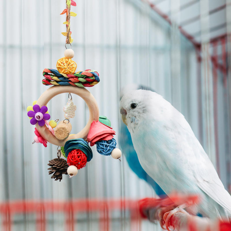 Bird Chewing Toys, Hanging Natural Materials Parrot Chew Toy, Bird Cage Accessories, Suitable for Small to Medium Birds Budgie Lovebirds Conures Parakeets Cockatiels