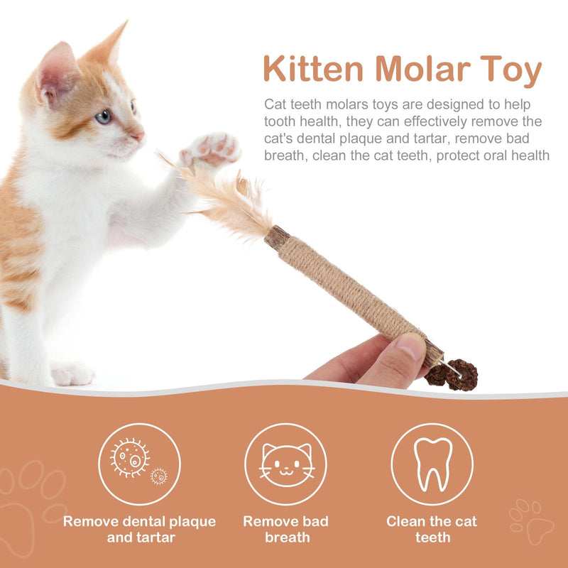 ERINGOGO 5 Pieces Dental Toys for Cats Made from Natural Actinidia Polygama and Cecidum Fruit, Bite-Proof for Dental Health in Cats and Kittens