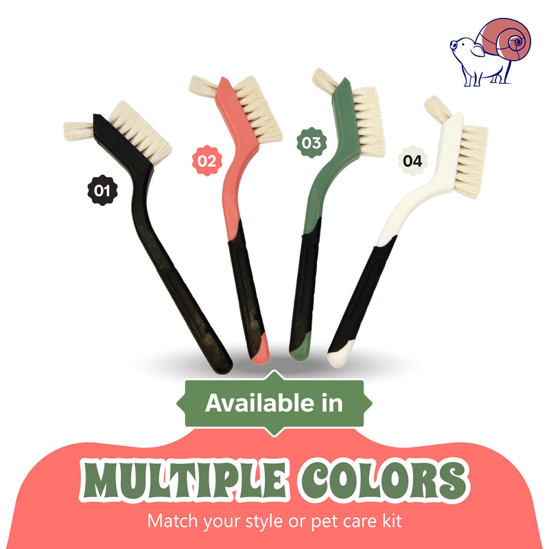 Turtle Cleaning Brush - Gently Remove Dirt from Turtles and Tortoises - Blue by Snout and Shell - PawsPlanet Australia