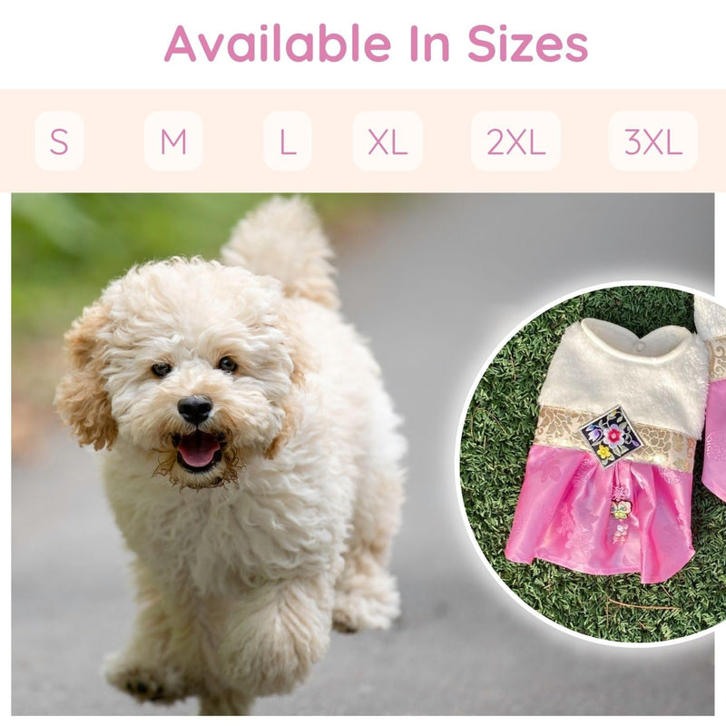 SSONGBYPET Traditional Korean Hanbok for Dogs - Elegant & Timeless Pet Clothing - Showcasing Stylish K-Fashion Design, Ideal for Special Events & Celebrations - Available in Sizes (S-2XL) - Size (S) Small - PawsPlanet Australia