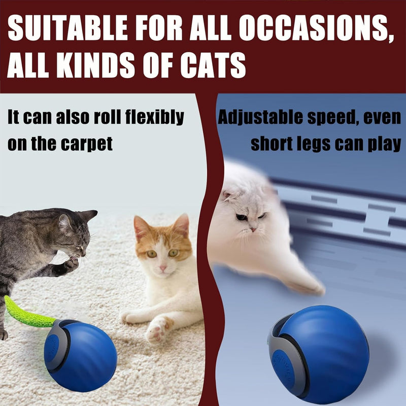 Speedy Tail 2.0, Speedy Tail 2.0 Cat Toy, Interactive Cat Toy for Indoor Cats, Automatic Moving Cat Toy Ball, USB Rechargeable Smart Cat Toys Ball with Tail, Two Speed Adjustment (Blue + Orange) - PawsPlanet Australia