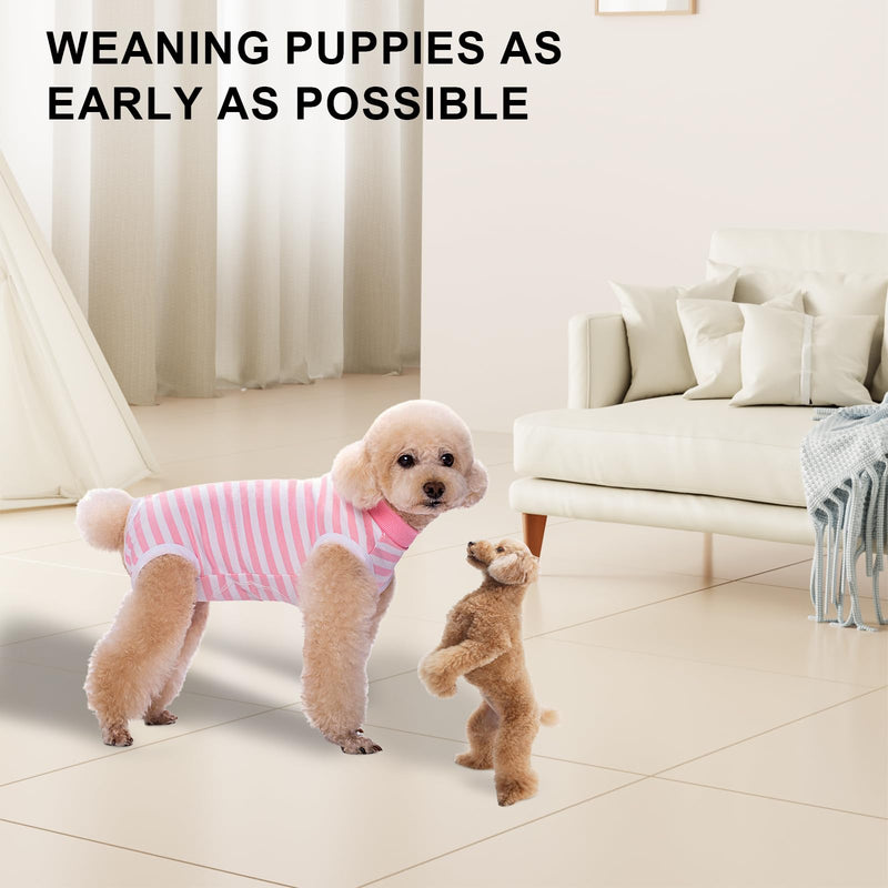 Dog Surgery Recovery Suit, Soft Dog Surgical Onesie Striped Surgical Recovery suit for Female Male dog, Pet Surgical Suit Puppy Onesie Bodysuit for Allergies Wound Protection Cone Alternative (M) M