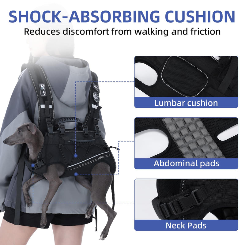 Dog Backpack Carrier for Small Dogs,Dog Lift Harness,Adjustable Padded Breathable Straps for Dogs, Disabled, Joint Injuries, Arthritis,XL(24-35LBS) XL Black - PawsPlanet Australia
