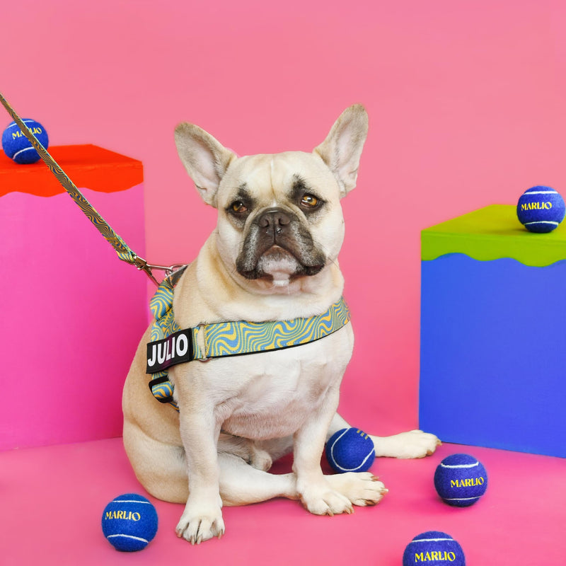 Marlio Adjustable Dog Harness - Stop Pulling, No Choke, Ensure Comfort, and Style with Easy-On, Unique Prints and Matching Leashes Available - Large, Blue/Yellow Swirl - PawsPlanet Australia