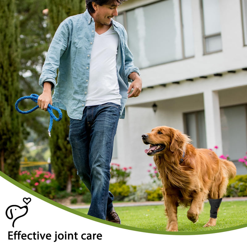 Dog Leg Braces for Rear Leg, Adjustable Dog Leg Sleeve Added Mobility Safety for Active Aging Dogs, Knee Support Straps for Outdoor Adventures Daliy Use Enhanced Stability (1 Pair) - PawsPlanet Australia