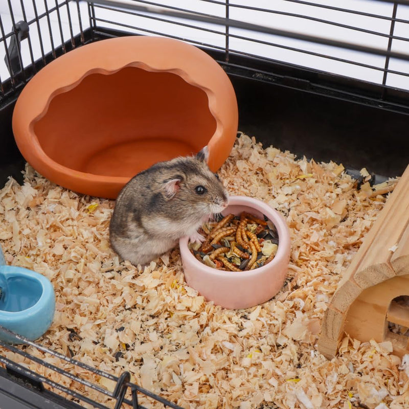2 Pcs Ceramic Hamster Bowl, Small Animal Food Bowl and Water Dish Feeder for Hedgehog Hamster Guinea Pig Sugar Glider Rat Gerbil Mice Chinchilla (Colors May Vary) - PawsPlanet Australia