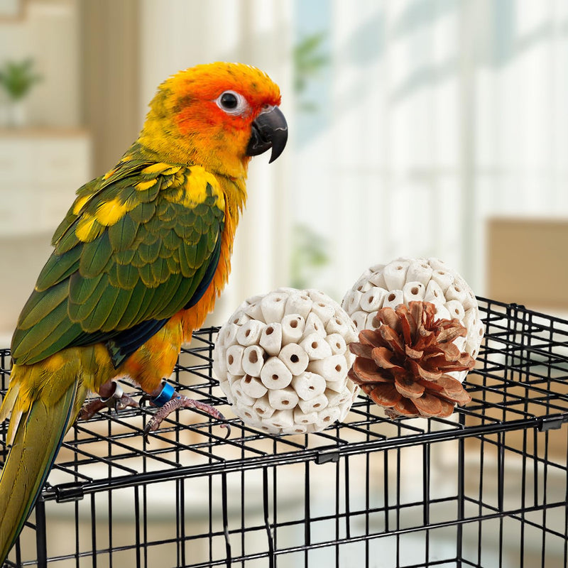Kyouki Bird Toys Parrot Toys Natural Bird Foraging Box Foot for Parakeets,Cockatiels,Conures,Love Birds,and Other Small to Medium Birds (Medium) - PawsPlanet Australia