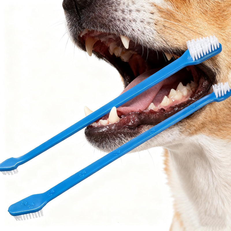 YMCCOOL Dog Toothbrush Set of 8 – Dual Headed Dental Hygiene Brushes for Small to Large Dogs, Easy Teeth Cleaning & Dental Care,Dog Tooth Brushes for Small to Large Dogs, Cats, and Most Pets Dogtooth-brush-8