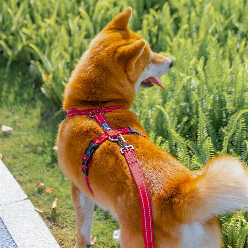 EXCELLENT ELITE SPANKER No Pull Dog Harness Reflective Nylon Vest L-Shaped Adjustable Easy Pet Harness for Small Medium Large Breeds Dogs Walking Training Black Red(Purple-M) Purple - PawsPlanet Australia