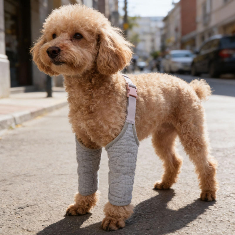 TEHAUX Atmungsaktive Wundmanschette für Hunde Vorder und Hinterbeine aus Elastischem Polyester in Grau XL für Sicheren Wundschutz und Bewegungsfreiheit