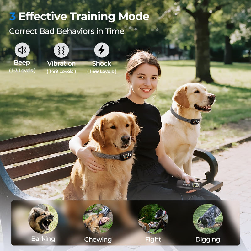 Dog Shock Collar for 2 Dogs (10-120Lbs), 4200FT Remote Training Collar with Light for Night Walks, 3 Training Modes, IP67 Waterproof Rechargeable E-Collar with Exclusive Shock Lock - PawsPlanet Australia
