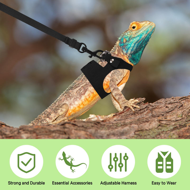 Bearded Dragon Harness Leash Set 3 Size Adjustable Lizards Training Walking Leather Vest Escape-Proof Traction Rope for Outdoor Small Reptiles Animal Squirrels (Black) Black - PawsPlanet Australia