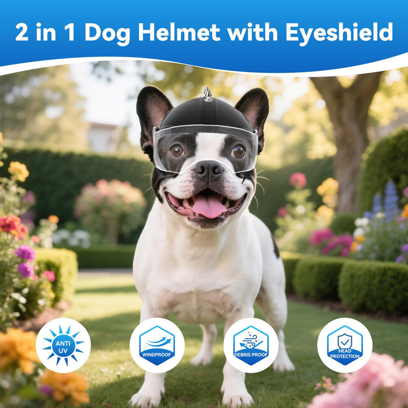 LESYPET Dog Helmet Small Breed, Dog Motorcycle Helmet Drop-Down Clear Visor for Outdoor Motorcycling Windproof Pet Hat with Ear Hole, with Rivet Clear - Rivet - PawsPlanet Australia