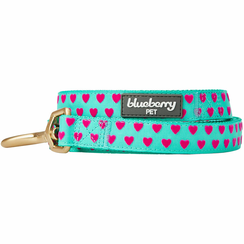 Blueberry Pet Valentine's Day Dog Leash, Velvety Soft-Touch Heart Flocking Lead for Small Dogs, Minty Green, 5 ft x 5/8" Flocking Print - Minty Green - PawsPlanet Australia