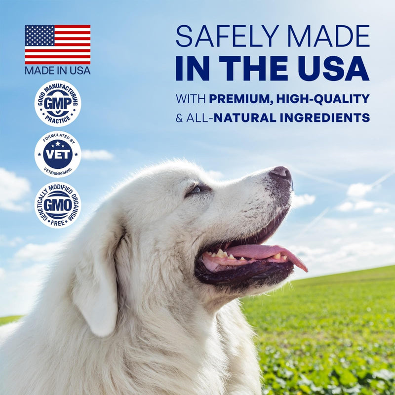 Advanced Canine Joint Supplement – Joint Care for Dogs – Active Dog Supplement with Devil’s Claw Boswellia & Turmeric – Tasty Dog Supplement for All Dog Breeds and Ages - PawsPlanet Australia