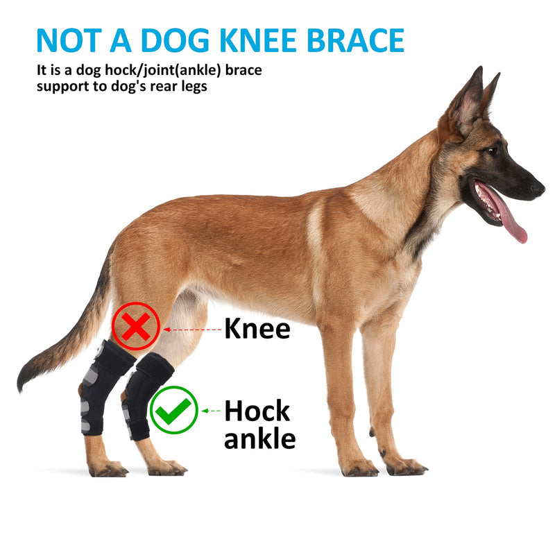 Dog Leg Braces for Back Legs,ACL Brace for Large Dogs Rear Legs, Joint Compression Warps Support for Hind Leg with Injury Sprain, Wound Care and Loss of Stability from Arthritis (1 Pair) Large（1Pair） - PawsPlanet Australia