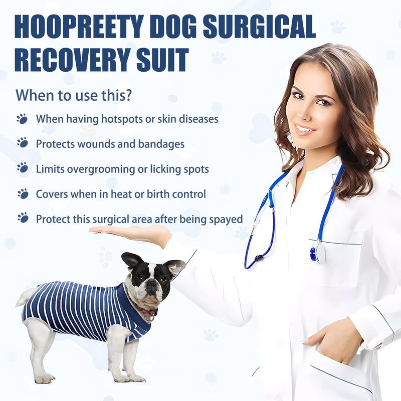 Pack of 2 Dog Bodysuit After Surgery Male, Dog Body Surgery Body Castration Dog Surgery After Surgery, Wound Protection, Soft Recovery Suit, Breathable, Alternative to Elizabeth Collar (Blue)