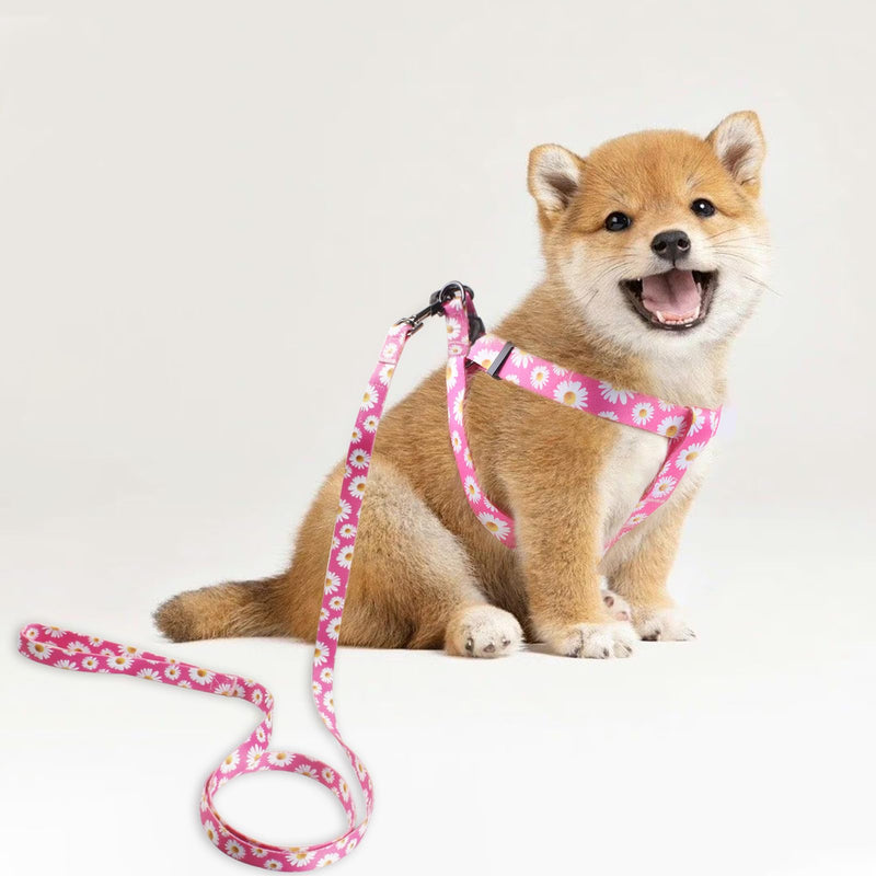 QQPETS Dog Harness Leash Set Adjustable Heavy Duty No Pull Halter Harnesses for Small Medium Large Breed Dogs Back Clip Anti-Twist Perfect for Walking (XS(12"-18" Chest Girth), Daisy) XS(12"-18" Chest Girth) - PawsPlanet Australia