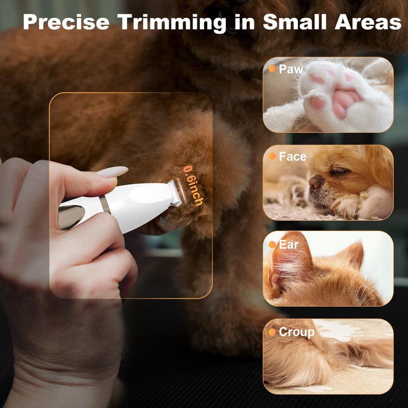 Dog Grooming Kit, Dog Clippers for Grooming Paw Trimmer Nail Grinder, Low Noise Rechargeable Cordless, Pet Shaver with Stainless Steel Blade for Pets Cats Animals - PawsPlanet Australia