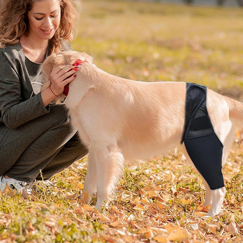 XL Lick Protection Dog Rear Leak Protection, Adjustable Lick Protection, Rear Leg Dog, Black Dog Knee Brace, Rear Leg, for Support and Protection of the Front and Rear Legs of Dogs