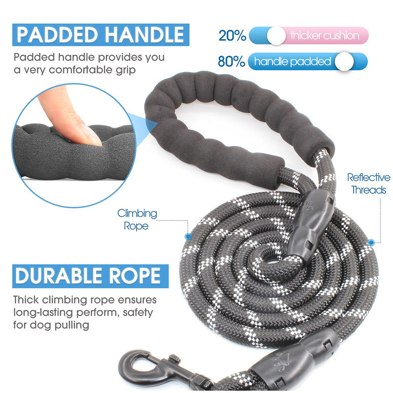 BAAPET Double Bungee Dog Leash + Rope Leash - PawsPlanet Australia