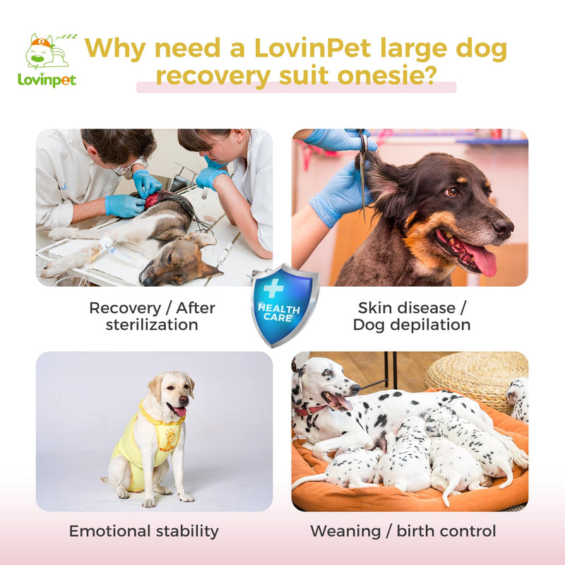 LovinPet Dog Recovery Suit for Large Medium Dogs - Wound Protective Surgical E-Collar Alternative Recovery Snugly Suit for Abdominal Wounds After Surgery Dog Onesies,Deer Pattern,Yellow,XL XL Yellow collar/Yellow - PawsPlanet Australia