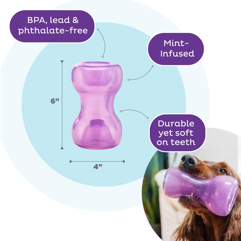 Outward Hound Double Snoop Interactive Treat Stuffer Durable Dog Toy, Dog Treat Toy, Purple One-Size - PawsPlanet Australia