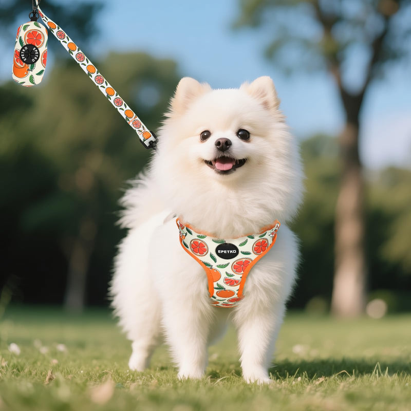 Dog Leash and Harness Set of 6, Soft Lightweight Mesh Step-in Puppy Harness, Adjustable Cute Floral Pattern Puppy Harness for Small Medium Dogs Orange M - PawsPlanet Australia